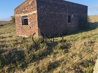 https://web5.gallito.com.uy/venta-de-campo-de-22-has-en-zona-de-las-cañas-inmuebles-27794004