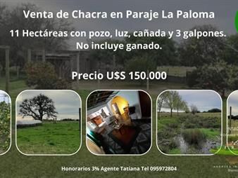 https://www.gallito.com.uy/venta-de-chacra-en-paraje-la-paloma-inmuebles-27794005