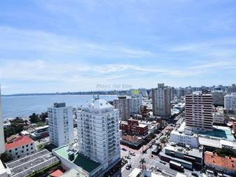 https://web5.gallito.com.uy/piso-alto-con-hermosa-vista-inmuebles-27739598