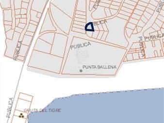 https://web5.gallito.com.uy/venta-terreno-en-las-grutas-punta-ballena-con-al-inmuebles-27794234