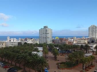 https://web5.gallito.com.uy/vende-apartamentos-de-1-dormitorio-y-medio-en-del-inmuebles-27739857