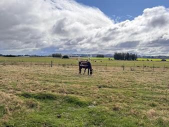 https://www.gallito.com.uy/campo-de-3-has-en-corte-la-leña-inmuebles-27799416