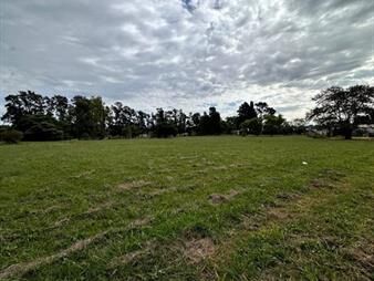 https://www.gallito.com.uy/gran-terreno-sobre-ruta-3-inmuebles-27352695