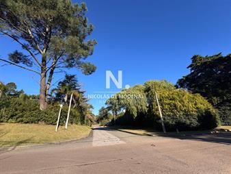 https://web5.gallito.com.uy/lote-en-barrio-golf-punta-del-este-en-venta-inmuebles-26684205