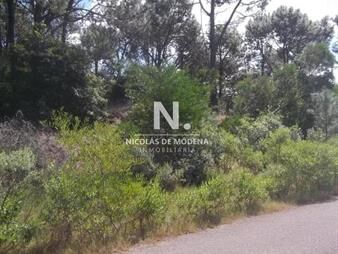 https://web5.gallito.com.uy/venta-terrenos-en-club-del-lago-inmuebles-27610633