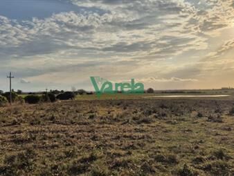 https://web5.gallito.com.uy/campo-en-venta-36-hasa-7-kmde-solis-de-inmuebles-27799421