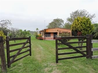 https://www.gallito.com.uy/chacra-en-canelones-4-has-casa-galpon-inmuebles-26165337