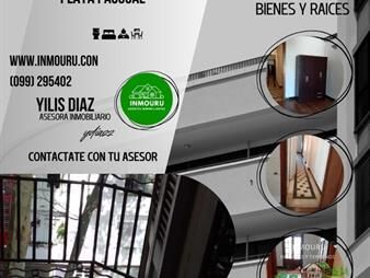 https://web5.gallito.com.uy/alquilo-acogedor-apto-en-el-centro-inmuebles-27731587