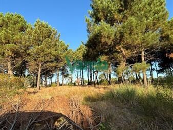 https://www.gallito.com.uy/terrenos-en-venta-ultimos-en-nilo-park-inmuebles-27485159