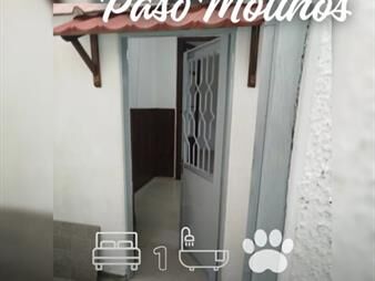 https://www.gallito.com.uy/alquilo-apartamento-en-planta-baja-sin-gastos-inmuebles-27808457