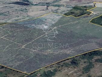 https://web5.gallito.com.uy/campo-cerca-de-ciudad-de-aigua-inmuebles-24937044