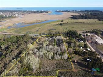 https://web5.gallito.com.uy/venta-de-chacra-en-camino-lussich-punta-ballena-inmuebles-27764194