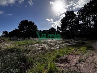 https://www.gallito.com.uy/terrenos-en-venta-el-pinar-inmuebles-27808712