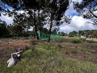 https://www.gallito.com.uy/terrenos-en-venta-en-el-pinar-al-norte-a-70-m-de-inmuebles-27808713
