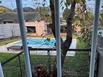 https://www.gallito.com.uy/venta-de-casa-4-dormitorios-en-punta-gorda-gran-terreno-inmuebles-27809201