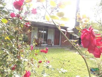 https://web5.gallito.com.uy/alquilo-por-temporada-casa-4-dormitorios-en-playa-inmuebles-22538392