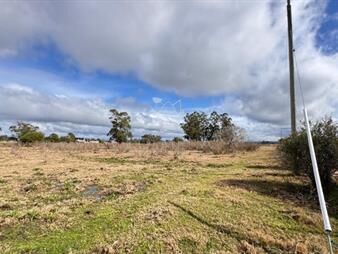 https://web5.gallito.com.uy/campo-23-has-a-metros-de-la-ruta-104-y-a-15-km-de-inmuebles-26030083