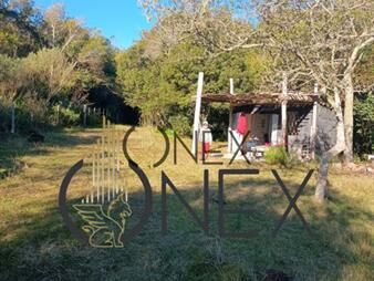 https://web5.gallito.com.uy/chacra-en-castillos-inmuebles-27651992