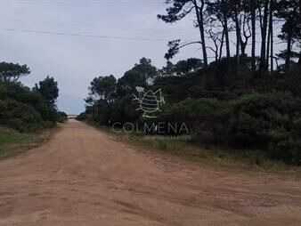 https://web5.gallito.com.uy/chihuahua-inmuebles-26621573