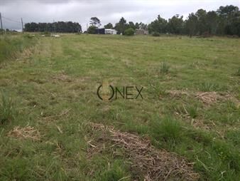 https://web5.gallito.com.uy/campo-3-ha-y-12-con-galpon-inmuebles-27827864