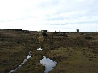 https://web5.gallito.com.uy/venta-de-campo-de-57-has-zona-las-cañas-inmuebles-27830623