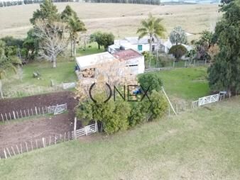 https://web5.gallito.com.uy/venta-de-campo-de-240-has-zona-las-cañas-inmuebles-27831206
