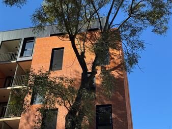 https://www.gallito.com.uy/venta-de-apartamento-de-1-dormitorio-en-mao-cordon-inmuebles-27002771