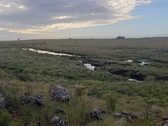 https://web5.gallito.com.uy/campo-mixto-agricola-ganadero-muy-buena-a-1-20-inmuebles-27835330