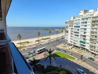 https://www.gallito.com.uy/monoambiente-en-alquiler-vista-al-mar-terraza-cocina-defi-inmuebles-27835363