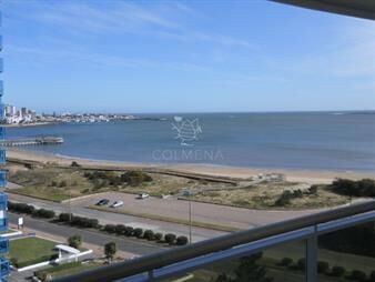 https://web5.gallito.com.uy/coral-tower-inmuebles-25089414