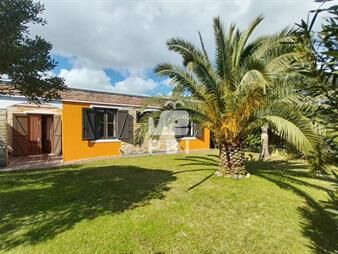 https://www.gallito.com.uy/casa-3-dormitorios-en-tio-tom-punta-ballena-inmuebles-27835955