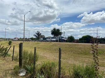 https://web5.gallito.com.uy/venta-terreno-melilla-ruta-102-y-ruta-5-20046m2-con-77-50-inmuebles-23292201
