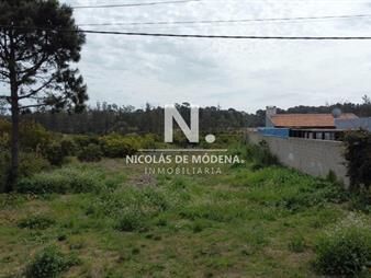 https://web5.gallito.com.uy/en-venta-terreno-en-playa-mansa-inmuebles-25807682