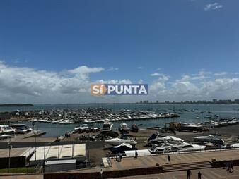 https://web5.gallito.com.uy/apartamento-en-peninsula-3-dormitorios-inmuebles-27609134