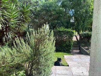 https://www.gallito.com.uy/punta-gorda-2-plantas-3dormitorios-2baños-piscina-barbacoas-inmuebles-27727229