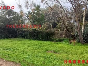 https://www.gallito.com.uy/muy-buen-solar-en-la-floresta-a-300-mtsdel-marreservado-inmuebles-27708297