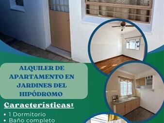 https://web5.gallito.com.uy/alquiler-apartamento-1-dormitorio-en-jardines-del-inmuebles-27849826