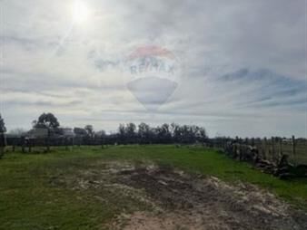 https://www.gallito.com.uy/terreno-se-vende-sarandi-grande-inmuebles-27853704