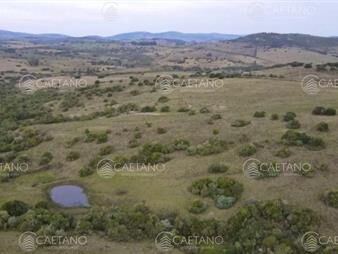 https://web5.gallito.com.uy/venta-chacra-36has-pueblo-eden-inmuebles-25706561