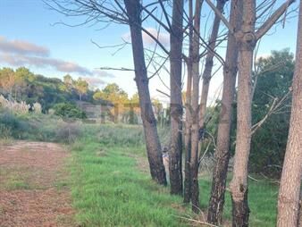 https://www.gallito.com.uy/venta-4-terrenos-la-esmeralda-inmuebles-27683455