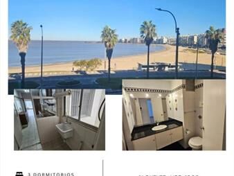 https://web5.gallito.com.uy/alquiler-de-apartamento-de-3-dormitorios-en-inmuebles-27858507