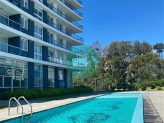 https://www.gallito.com.uy/venta-y-alquiler-anual-monoambiente-brava-punta-inmuebles-27850145