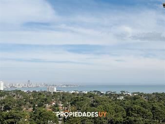 https://web5.gallito.com.uy/oportunidad-en-venta-apartamento-2-dormitorios-inmuebles-27869834