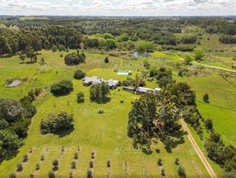 https://web5.gallito.com.uy/chacra-en-venta-ruta-104-inmuebles-27870072