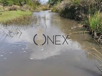 https://web5.gallito.com.uy/venta-de-campo-de-150ha-en-lavalleja-inmuebles-27870165