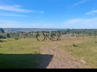 https://web5.gallito.com.uy/en-venta-chacra-en-sierras-de-carape-inmuebles-27870319