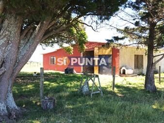 https://web5.gallito.com.uy/chacra-en-venta-en-sierras-del-carape-inmuebles-27874346