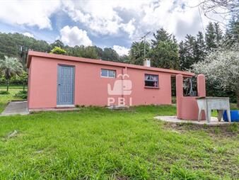 https://www.gallito.com.uy/casa-en-punta-ballena-ref-pbi14173-inmuebles-27822106