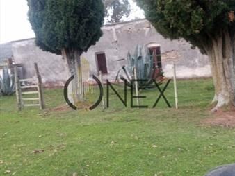 https://www.gallito.com.uy/venta-de-campo-600ha-en-carape-con-casas-inmuebles-27882888