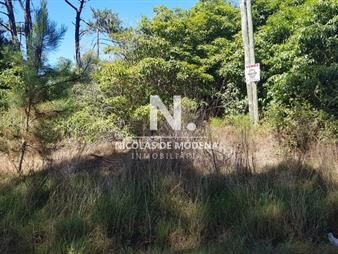 https://web5.gallito.com.uy/terreno-en-punta-ballena-portezuelo-bosque-inmuebles-26156029